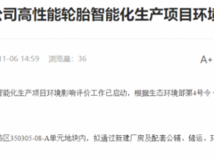 佳安橡膠,千萬條輪胎項目披露!